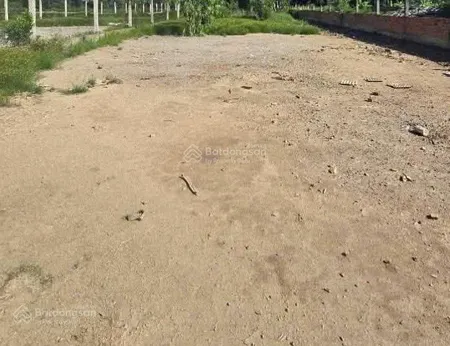 Bán đất 1000m² ấp 6, trần hải phụng, vĩnh lộc b, tp. hcm. 5,8 tỷ, 0933 447 ***