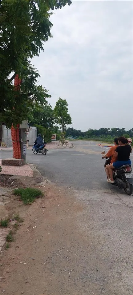 Bán đất lô góc khu đấu giá thọ am xã liên ninh dt 82m2 giá bán 130 trđ/m2. x lộc0962 658 ***