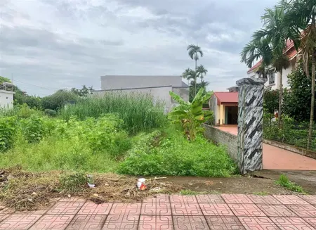 Bán lô đất 81,5mv mặt trục thôn tân dân an lão ( an trường ,hải phòng