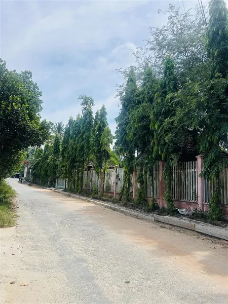 Nhà vườn và nhà 1 mê nhà vườn đầy đủ loại cây ăn quả dừa xoài bưởi cau đủ loại cây 62m mặt ngang