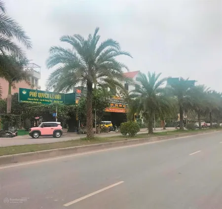 Đất mặt phố đào đình luyện, việt hưng, cạnh c12, c13, vỉa hè rộng, kinh doanh/ở/cho thuê đều tuyệt