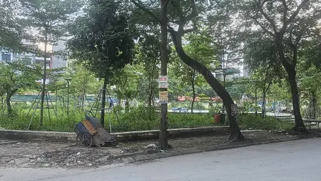 Đấu giá mậu lươngrẻ nhất khu vựcview vườn hoathang máy