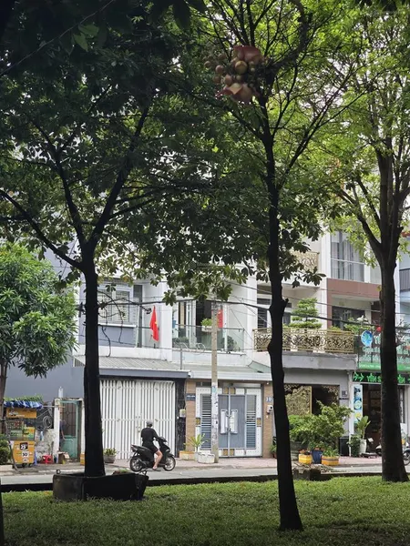 Bán gấp nhà view công viên tên lửa , kế nhà thờ, 5 x 20m, giá nhỉnh 11 tỷ.