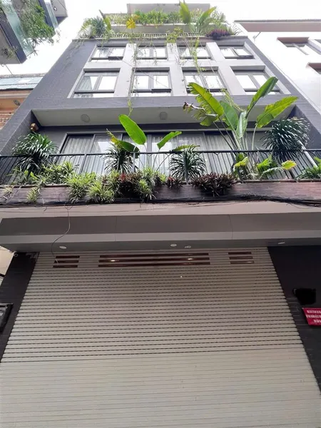 Phân lô trần quang diệu đống đa lô góc gara oto thang máy kinh doanh 67m*7t 33.5tỷ