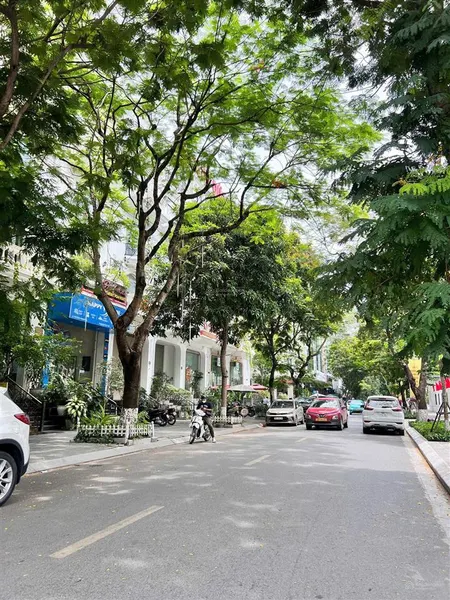 NHÀ PHỐ TÔN THẤT THUYẾT, VỊ TRÍ ĐẮC ĐỊA BẬC NHẤT CẦU GIẤY LÔ GÓC DUY NHẤT