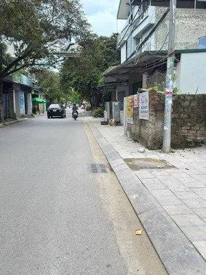Chính chủ bán nhà cấp 4 ngõ 49 đại lộ lê lợi phường hạc thành (p. tân sơn tp thanh hóa cũ)