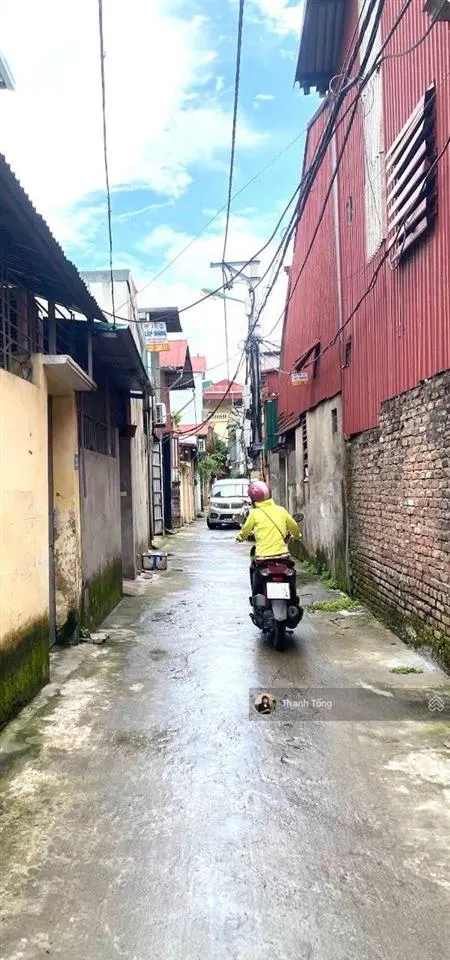 Giá tốt nhấttam trinhyên duyên50mmt6.8m 8.3 tỷ
