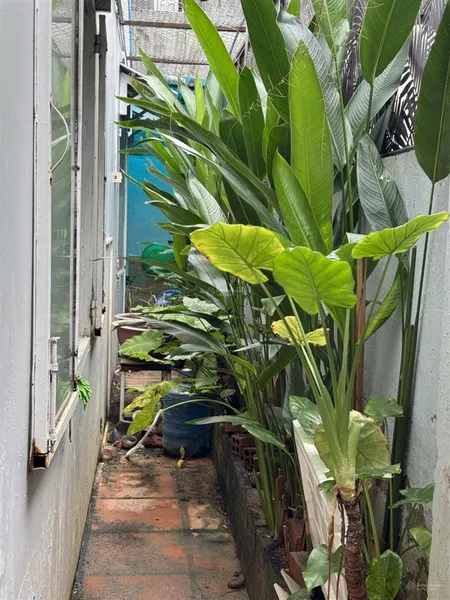 Bán nhà đường tôn đức thắng. gần cầu bình tân và gần trường học. kinh doanh sầm uất