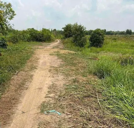 Bán đất 2740.6m² ngang 5m giá 350 triệu Xã Đức Hòa