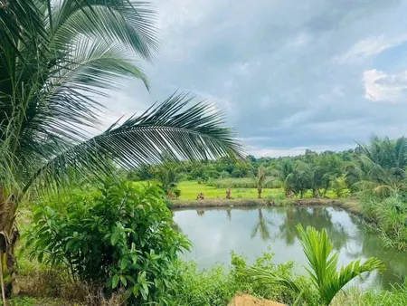 Bán đất 4000m² giá 680 triệu Xã Hòa Phú