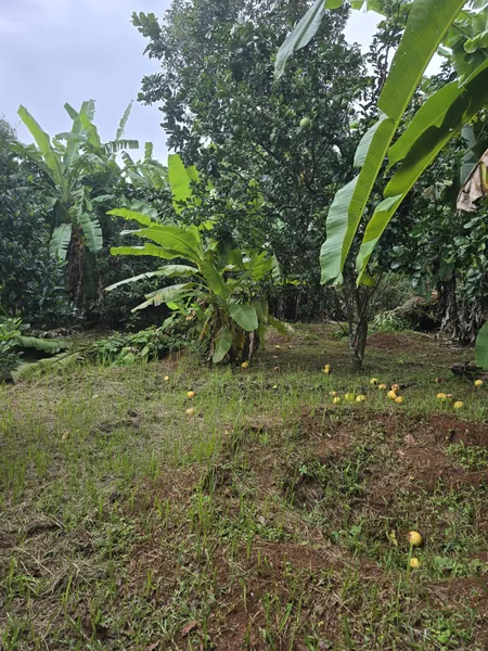 Bán đất 2000m² ngang 36m giá 4 tỷ Phường Xuân Lập