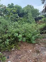 ĐẤT CẦN CHO THUÊ thị xã Điện Bàn, Quảng Nam