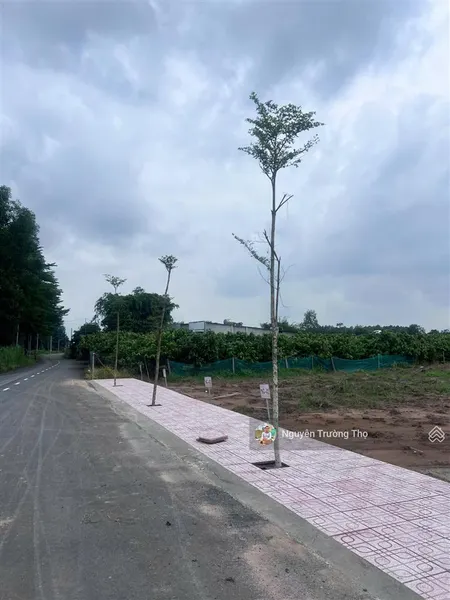 An viễn bán 4 nền liền kề mt đường nhà nước, hướng đông nam. giá gốc cđt. 0906 870 ***