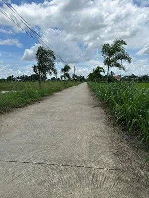 Bán đất ấp bình lương 1 xã bình thạnh huyện thủ thừa tỉnh long an