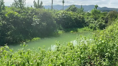 Bán gấp đất sào gần trung tâm xã lộc thành