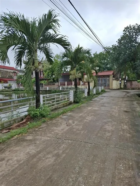 Hai lô đất liền kề trong đó có một lô góc hai măt tiền diên tích mỗi lô 131m2