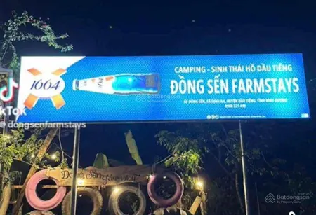 Đất view hồ dầu tiếng đẹp rẻ bán tại xã định an huyện dầu tiếng