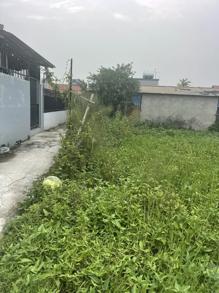 Chính chủ bán nhà đất Ngõ 18 Thôn Siêu Quần, Tả Thanh Oai, Thanh Trì, Hà Nội.
