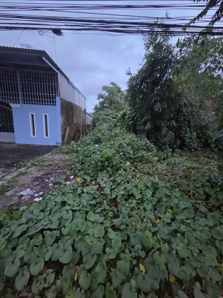 Bán đất Tôn Đức Thắng  197.3m² ngang 5m giá 1.85 tỷ Phường Sóc Trăng