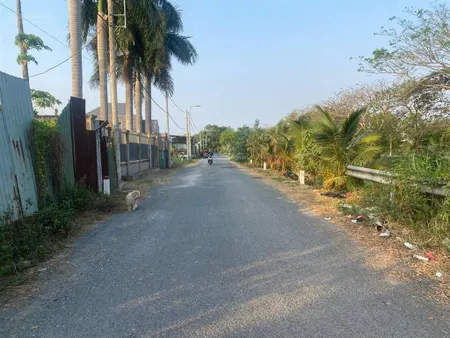 Cần tiền bán rẻ 175m2 đất ở hẻm nhựa 8m đoàn nguyễn tuấn, giá 3.5 tỷ xã tân quý tây, bình chánh