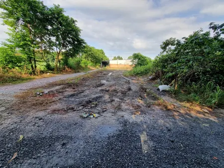 (L799) Đất 1/ ngắn Nguyễn Thị Nê, xã Phú Hòa Đông, dt 732m2, thổ cư 231m2, giá chỉ 2 tỷ 900