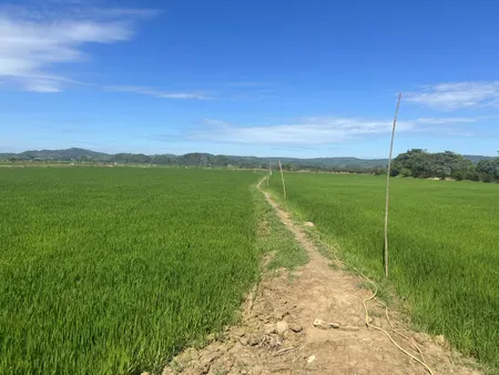 Bán đất 32000m² ngang 100m giá 4.5 tỷ Xã Cát Tiên