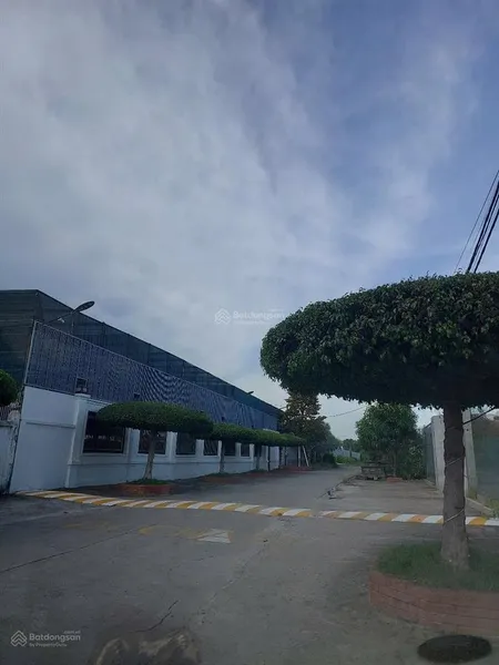 Bán 2100m2 đất mặt tiền gần nguyễn văn bứa, hóc môn 30x70m full thổ
