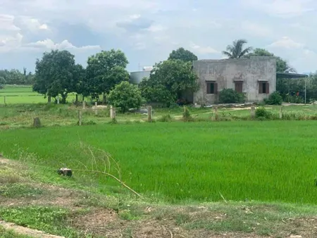 Bán đất 2760m² giá 750 triệu Xã Hàm Liêm