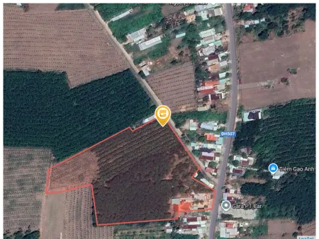 Bán đất 250m² ngang 5m giá 700 triệu Xã An Linh ( cũ) An Long (mới)