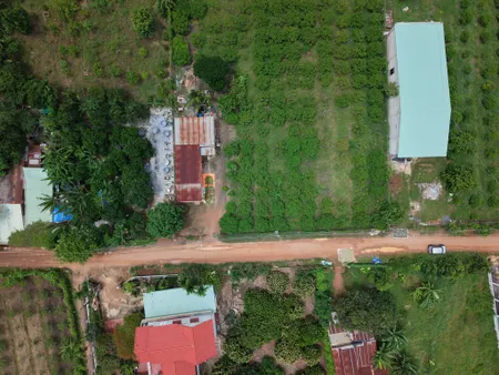 Bán đất 1771.5m² ngang 10m giá 100 triệu Phường Bình Minh