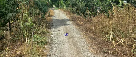 Giá tốt bán đất lúa 32.000m²(mặt tiền 80m) đường đá xe ba gác, xã tân hội trung