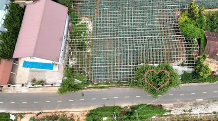 Hạ bán gấp đất mặt tiền đa phú siêu rộng siêu rẻ tiện đầu tư lâu dài tại đà lạt