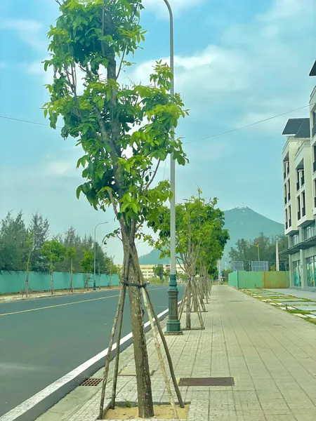 Bán Shophouse Biển L'Aurora Phú Yên Diện tích 108 m² đất,  xây 5 tầng 540m2