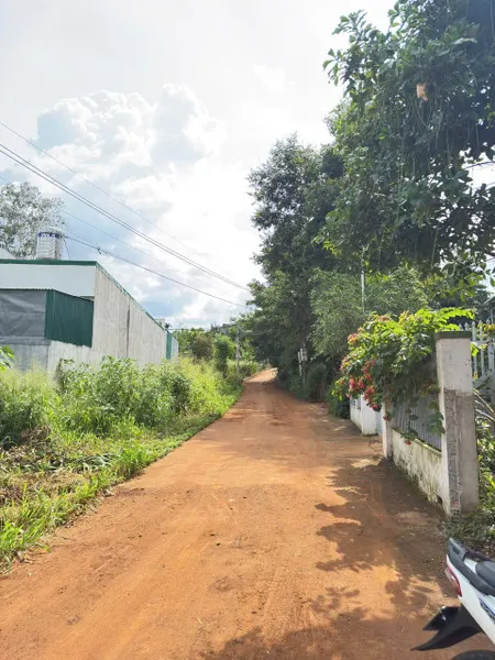 Bán đất 117.7m² ngang 5m giá 1.32 tỷ Phường Tân Lập