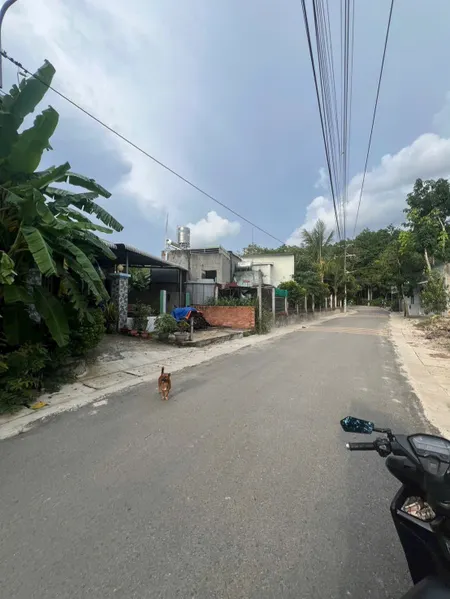 Bán đất An Tây 045 gần UBND Tây Nam