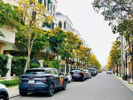 Duy nhất trên thị trường, bán gấp liền kề ocean park 2 gần 59m2 giá chỉ 7,9 tỷ cạnh trường học