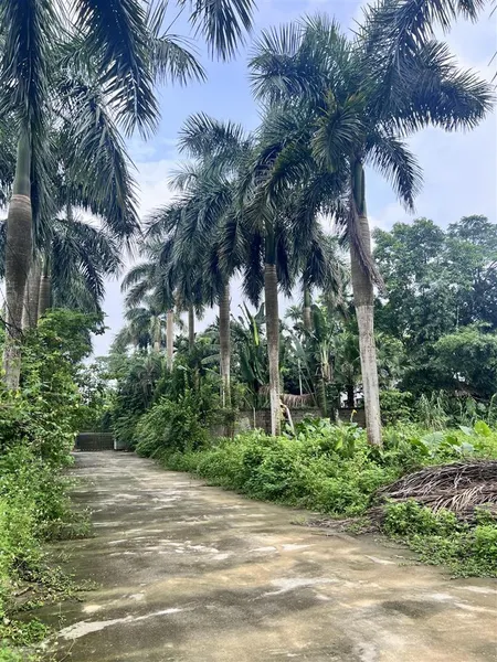 Bán 850m đất tại nhuận trạch lương sơn hoà bình