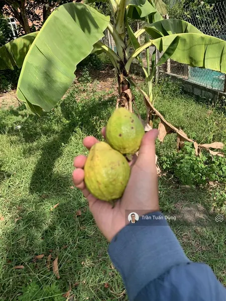 Bán gấp lô đất dân xây nhà diên tân (diên thọ) giá tốt