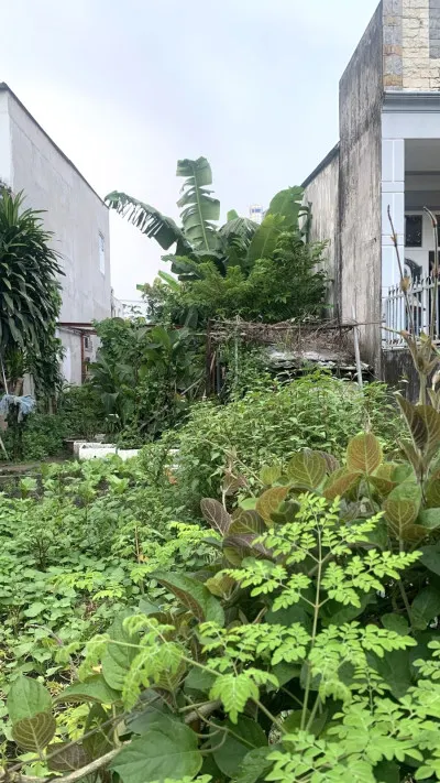 Đất đẹp 135m² (5.3x26m) Đường 12 Tam Bình Thủ Đức – hẻm ô tô chỉ 6.9 tỷ, pháp lý chuẩn, xây dựng tự do