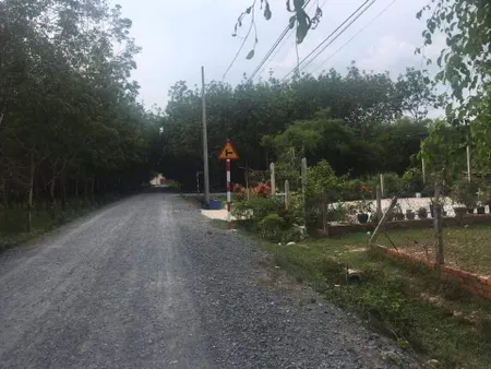 Chủ cần ra gấp lât đất măt tiền đường đá xanh đang đổ nhựa đường cao thi đậu cách đường phú thuận 100m