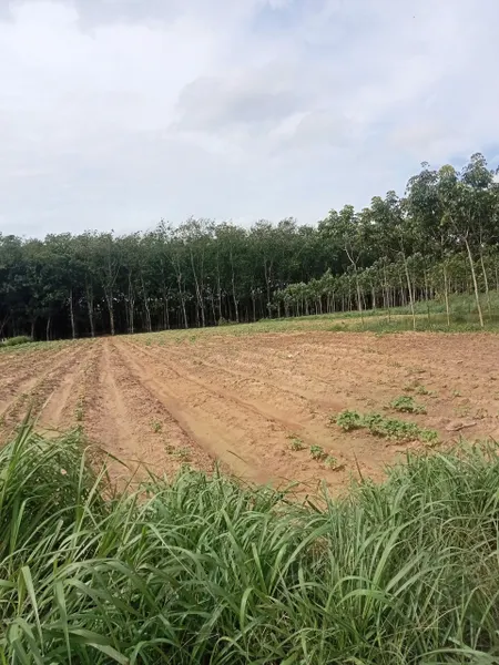 Bán đất 4000m² ngang 27m giá 10.4 tỷ Phường Vĩnh Tân
