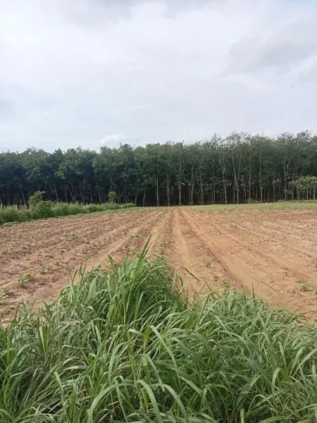 Bán đất 4000m² ngang 27m giá 10.4 tỷ Phường Vĩnh Tân