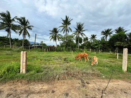 0763615365 Bán đất 103m² giá 395 triệu Phường Ninh Hòa BĐ