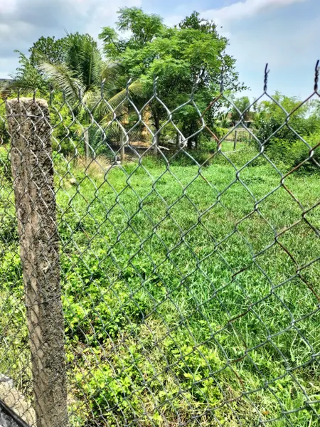 0763615365 Bán đất 328m² giá 1.35 tỷ Xã Vạn Hưng BDD