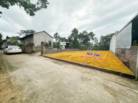 Bán đất nền thổ cư tại đường 309C, Hoàng Hoa, Tam Dương, Vĩnh Phúc