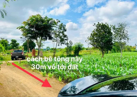 🔥BÁN ĐẤT HÀNG HIẾM – EADRONG (Buôn Hồ) - Đắk Lắk🔥
📍Vị trí: Cách QL29 chỉ 500m, đường rộng thoáng, thực tế đất 2 mặt tiền cực đẹp.
📐 Diện tích: 6 x 82m, có sẵn 60m thổ cư.
✅ Lợi thế: Dài hiếm, vuông vắn, tiện xây dựng – đầu tư – an cư.
💰Giá chỉ: 195 tr