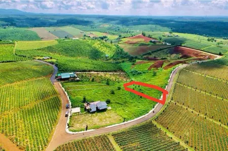 LỘC QUẢNG, BẢO LÂM, LÂM ĐỒNG
GẦN KHU DU LỊCH THÁC ĐAMB'RI

🍀 DT 400m2 ( 10x40m), gần 200m2 thổ cư. 
🍀 Mặt tiền đường nhựa khu nông trường trà 
🍀 Giá chỉ 1.3 tỷ