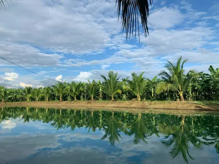 Bán đất 8000m² ngang 80m giá 2.6 tỷ Xã Hòa Phú