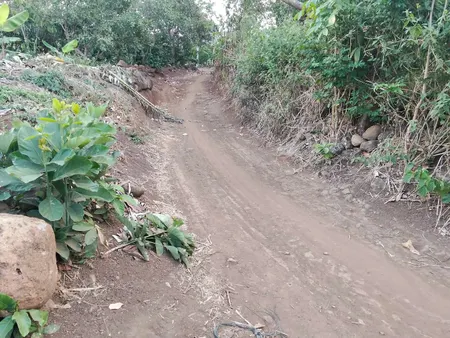 Bán đất 17270m² ngang 15m giá 1.7 tỷ Xã Hòa Phú