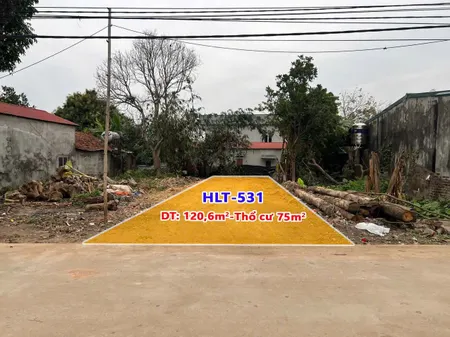 Bán đất nền thổ cư tại TL 309B, Kim Long, Tam Dương, Vĩnh Phúc